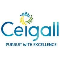 Ceigall India IPO Detail