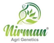 Nirman Agri Genetics  Rights Issue Detail